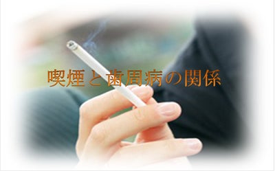 第二薮本歯科医院のブログ
